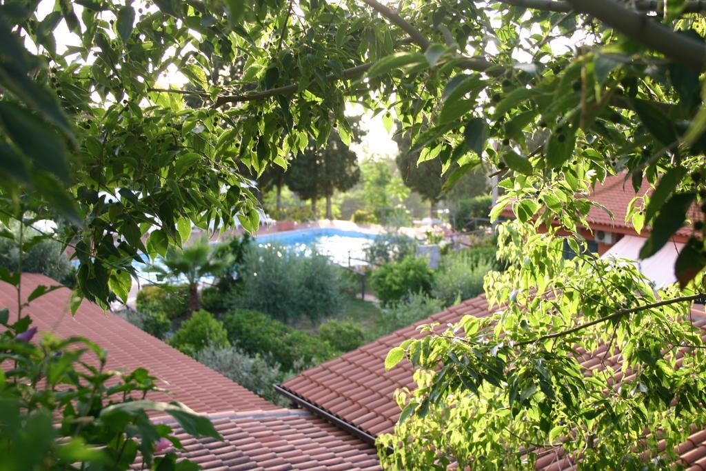Agriturismo Ruralia Santa Domenica  Buitenkant foto