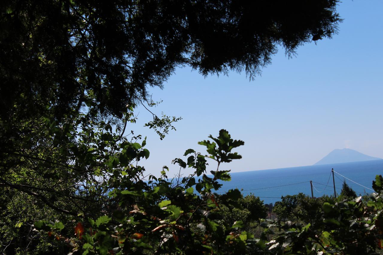 Agriturismo Ruralia Santa Domenica  Buitenkant foto